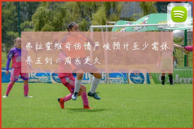 弗拉霍维奇伤情严峻预计至少需休养五到六周或更久