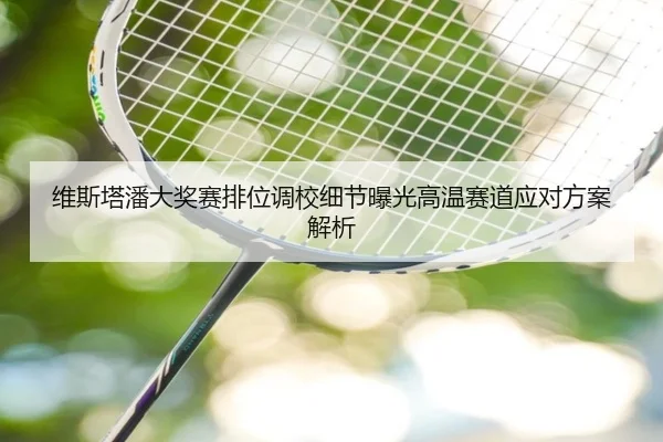 维斯塔潘大奖赛排位调校细节曝光高温赛道应对方案解析