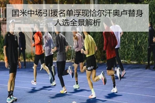 国米中场引援名单浮现恰尔汗奥卢替身人选全景解析